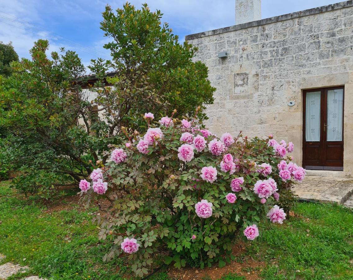 Masseria Montecchie Челие Месапика Екстериор снимка
