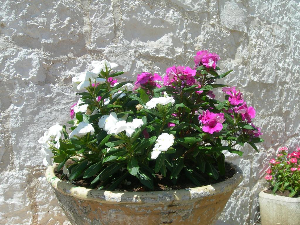 Masseria Montecchie Челие Месапика Екстериор снимка