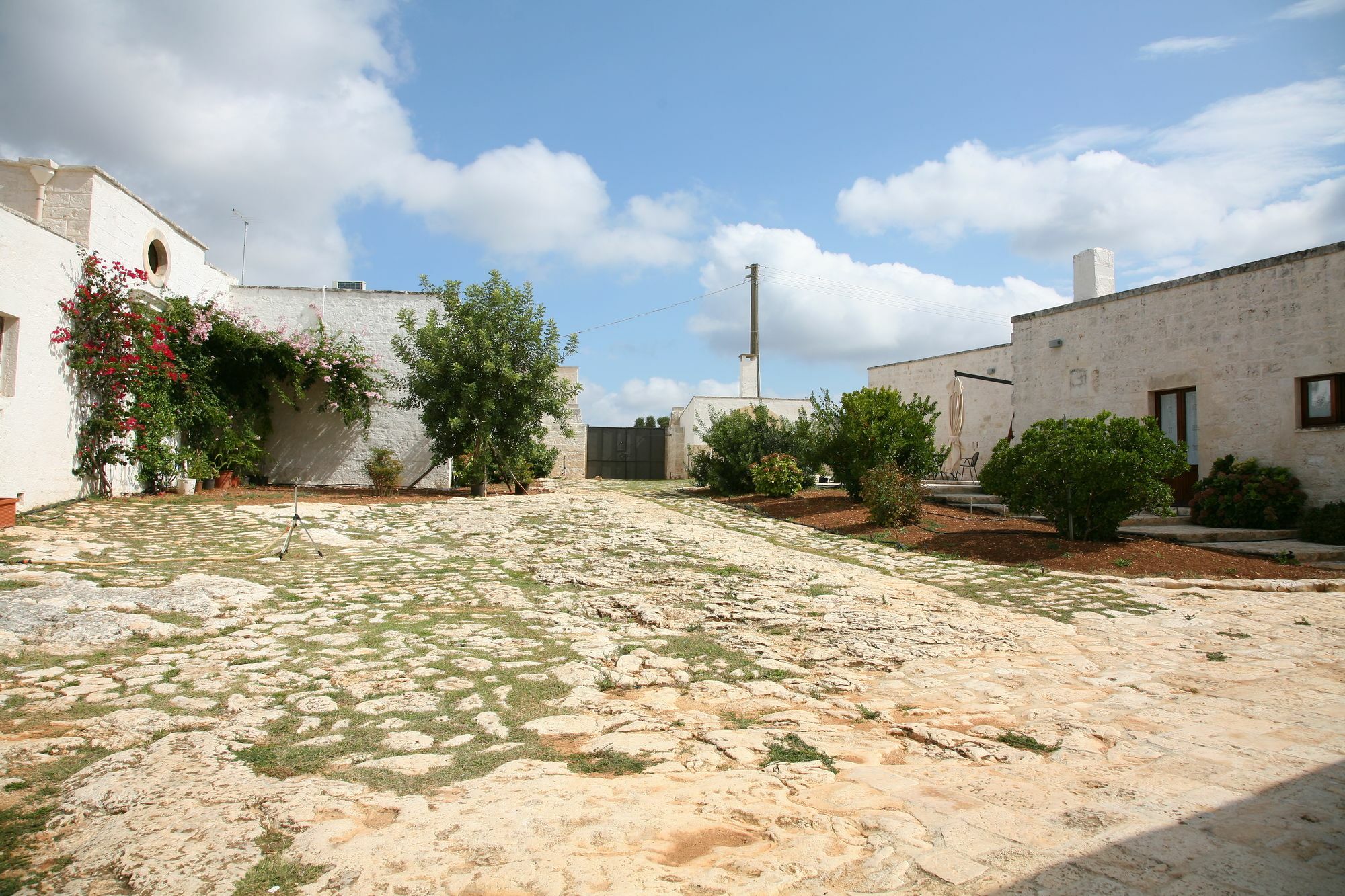 Masseria Montecchie Челие Месапика Екстериор снимка
